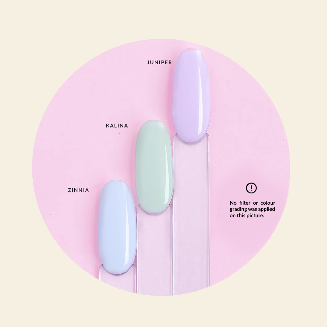 Mitty Zinnia - Brush on Builder Gel